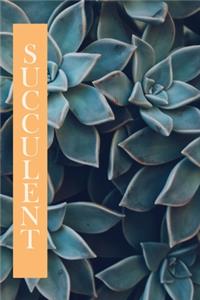 Succulent