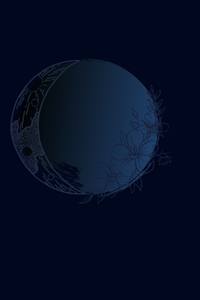 Crystal Visions Journal