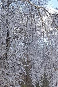 2019 Weekly Planner Winter Scenic Forest Ice Storm 134 Pages