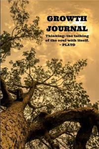 Growth Journal Thinking