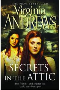 Secrets in the Attic