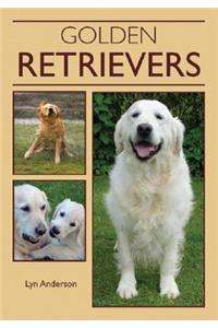 Golden Retrievers