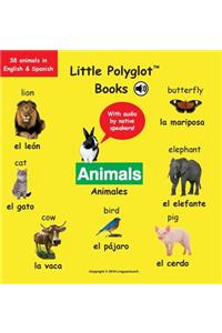 Animals/Animales