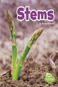 Plant Parts Stems