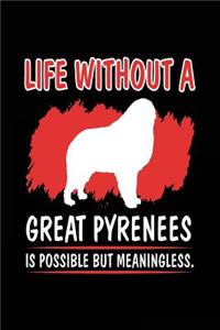 Life Without A Great Pyreness Is Possible But Meaningless.
