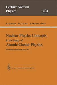 Nuclear Physics Concepts in the Study of Atomic Cluster Physics