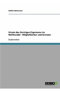 Schutz des Geistigen Eigentums im Welthandel - Möglichkeiten und Grenzen