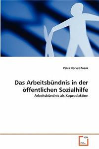 Das Arbeitsbündnis in der öffentlichen Sozialhilfe