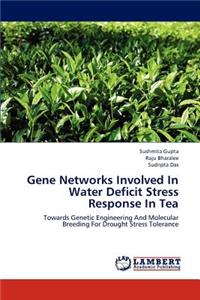 Gene Networks Involved in Water Deficit Stress Response in Tea