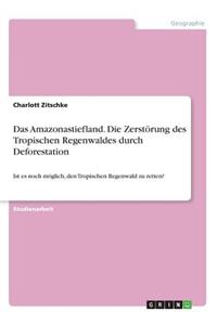 Amazonastiefland. Die Zerstörung des Tropischen Regenwaldes durch Deforestation