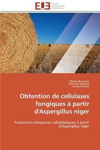 Obtention de Cellulases Fongiques À Partir d'Aspergillus Niger