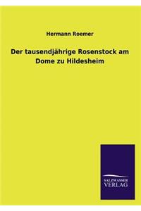 tausendjährige Rosenstock am Dome zu Hildesheim