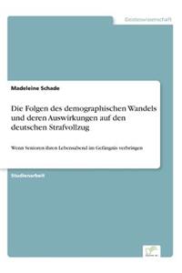 Folgen des demographischen Wandels und deren Auswirkungen auf den deutschen Strafvollzug