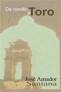 de Novillo a Toro