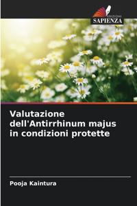 Valutazione dell'Antirrhinum majus in condizioni protette