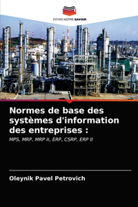 Normes de base des systèmes d'information des entreprises