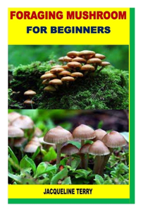 Foraging Mushroom for Beginners
