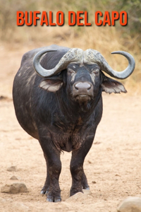 Bufalo del Capo