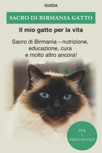 Sacro di birmania gatto