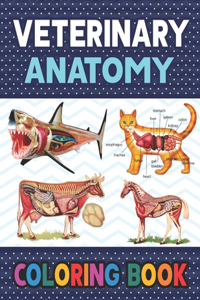 Veterinary Anatomy Coloring Book