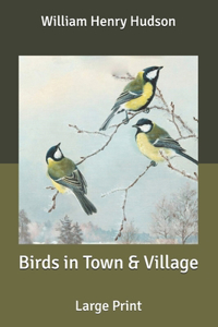 Birds in Town & Village