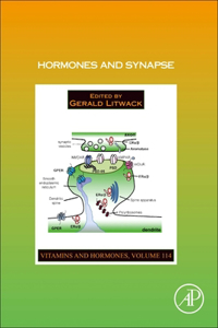 Hormones and Synapse