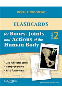 Flashcards for Bones, Joints, and Actions of the Human Body