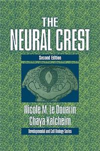 Neural Crest