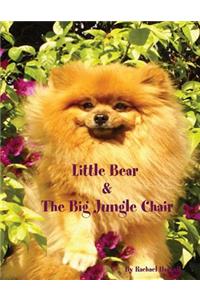 Little Bear and the Big Jungle Chair