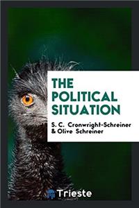 THE POLITICAL SITUATION