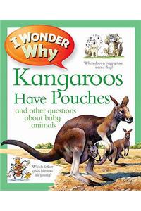 I Wonder Why Kangaroos Have Pouches