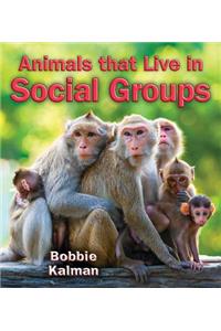 Animals That Live in Social Groups
