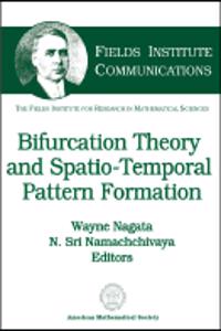 Bifurcation Theory and Spatio-temporal Pattern Formation
