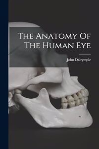 The Anatomy Of The Human Eye