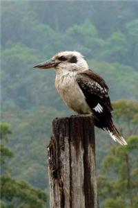 Australian Kookaburra Bird Portrait Journal