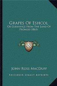 Grapes of Eshcol: Or Gleanings from the Land of Promise (1861)