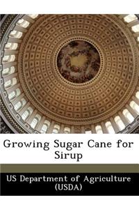 Growing Sugar Cane for Sirup