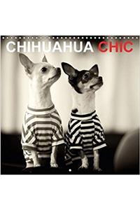 Chihuahua Chic 2017
