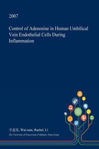 Control of Adenosine in Human Umbilical Vein Endothelial Cells During Inflammation