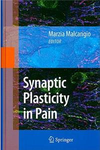 Synaptic Plasticity in Pain