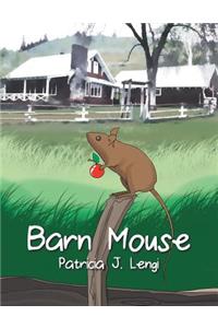 Barn Mouse