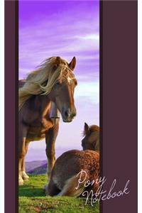 Pony Notebook