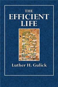 The Efficient Life