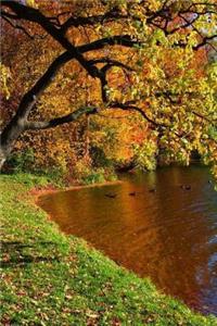 MindBlowing Nature Journal 29