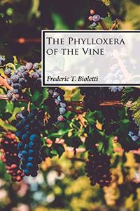 Phylloxera of the Vine