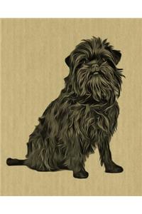 Affenpinscher