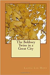 The Bobbsey Twins in a Great City