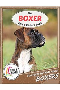 The Boxer Fact and Picture Book: Fun Facts for Kids About Boxer (Turn and Learn)