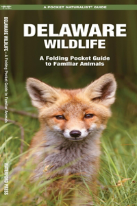 Delaware Wildlife
