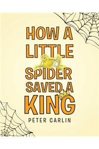 How a Little Spider Saved a King